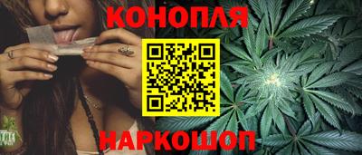 хмурый Новозыбков