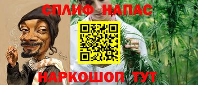 хмурый Новозыбков