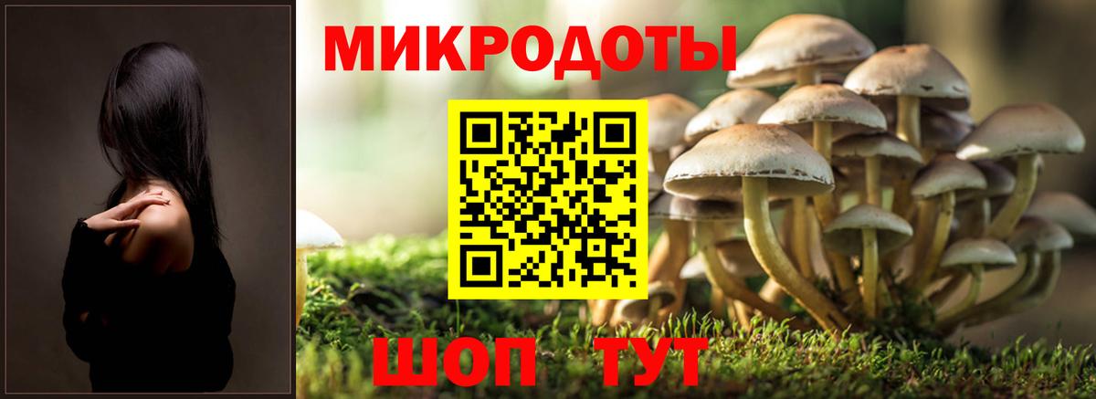 Галлюциногенные грибы мицелий Светлоград